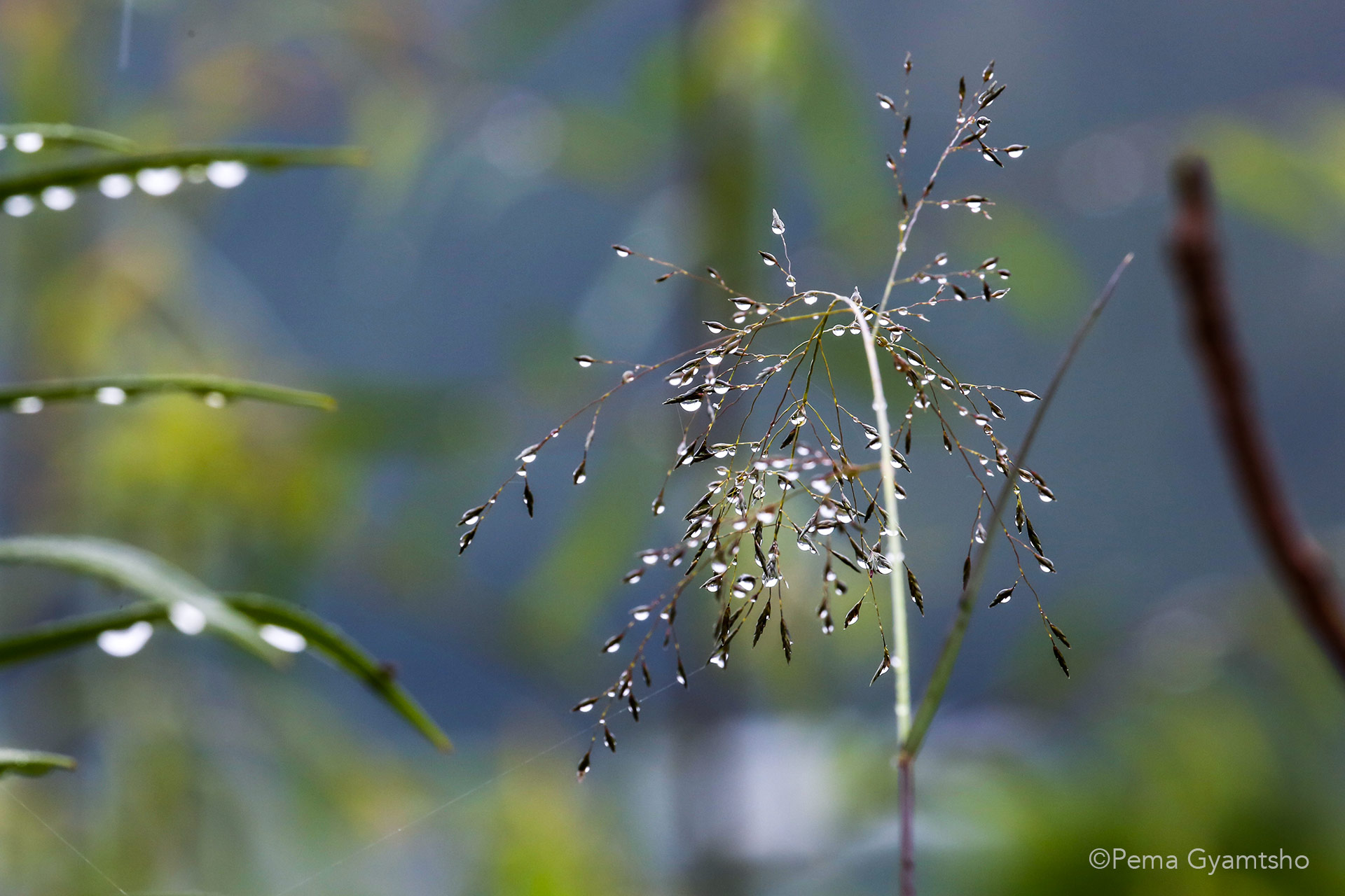 Everything looks interdependent, no matter how tiny and fragile we are.